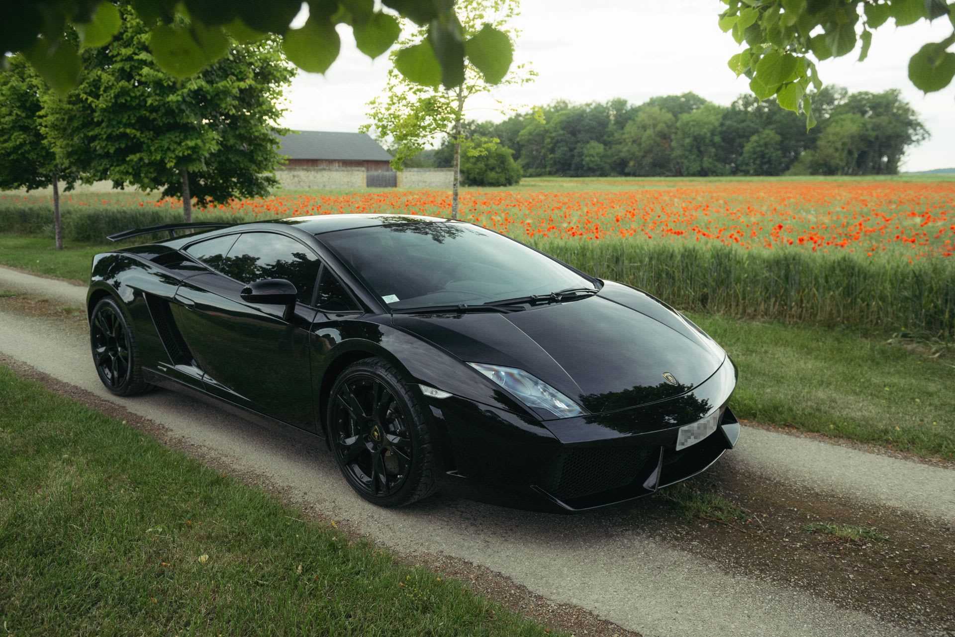 Lamborghini Gallardo Lp 560-4