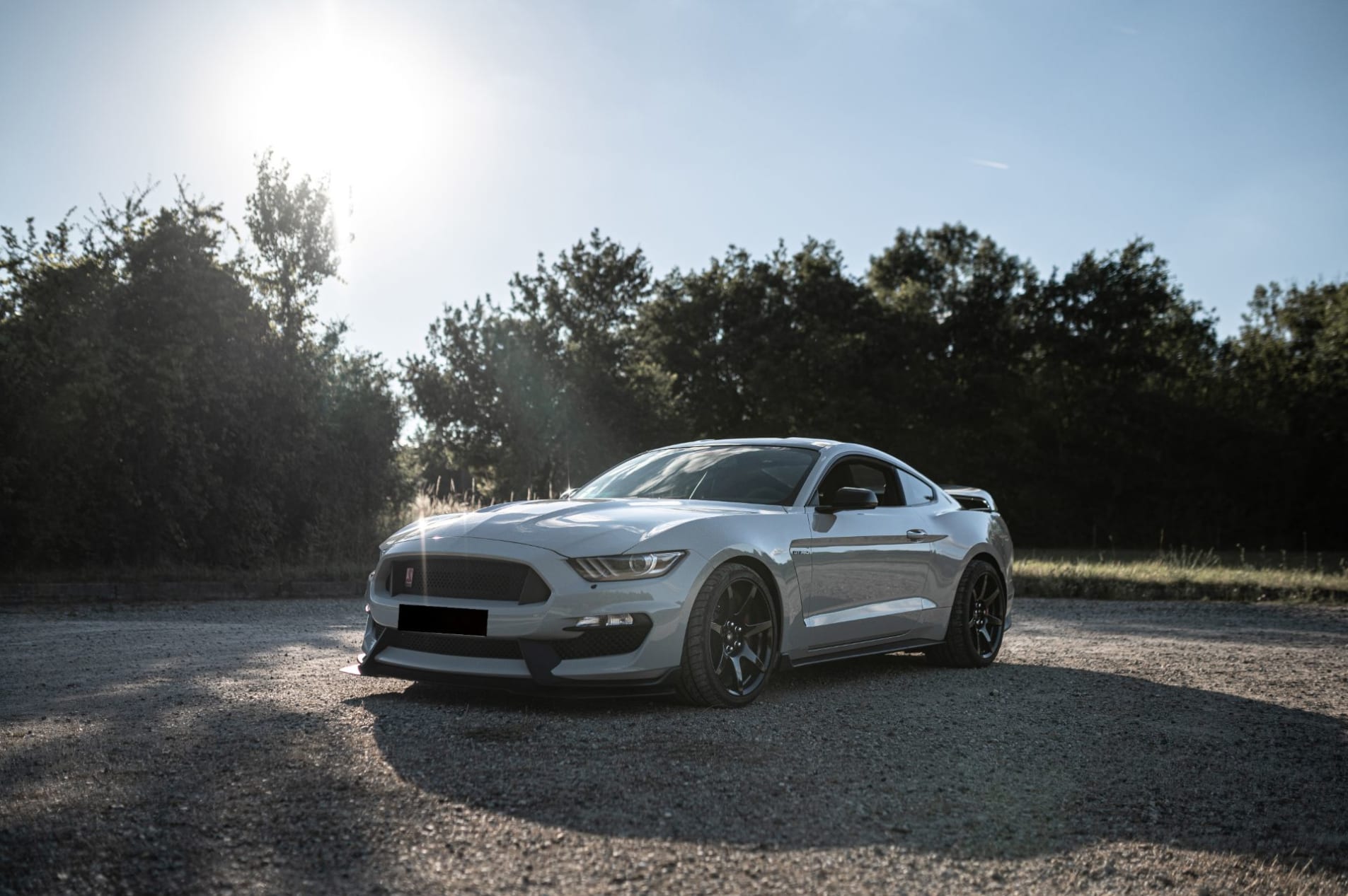 FORD Mustang shelby gt350r 2017