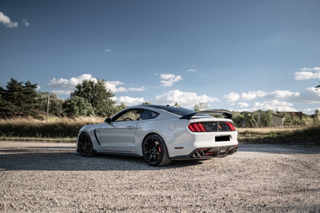 Ford Mustang Shelby Gt350r 1