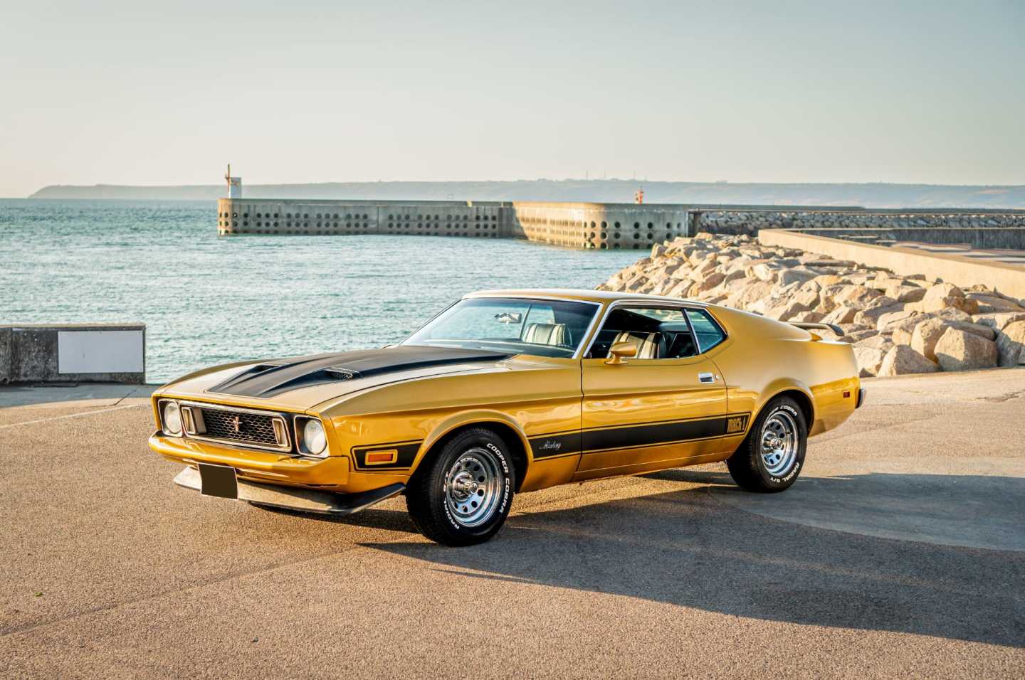 FORD Mustang Mach 1