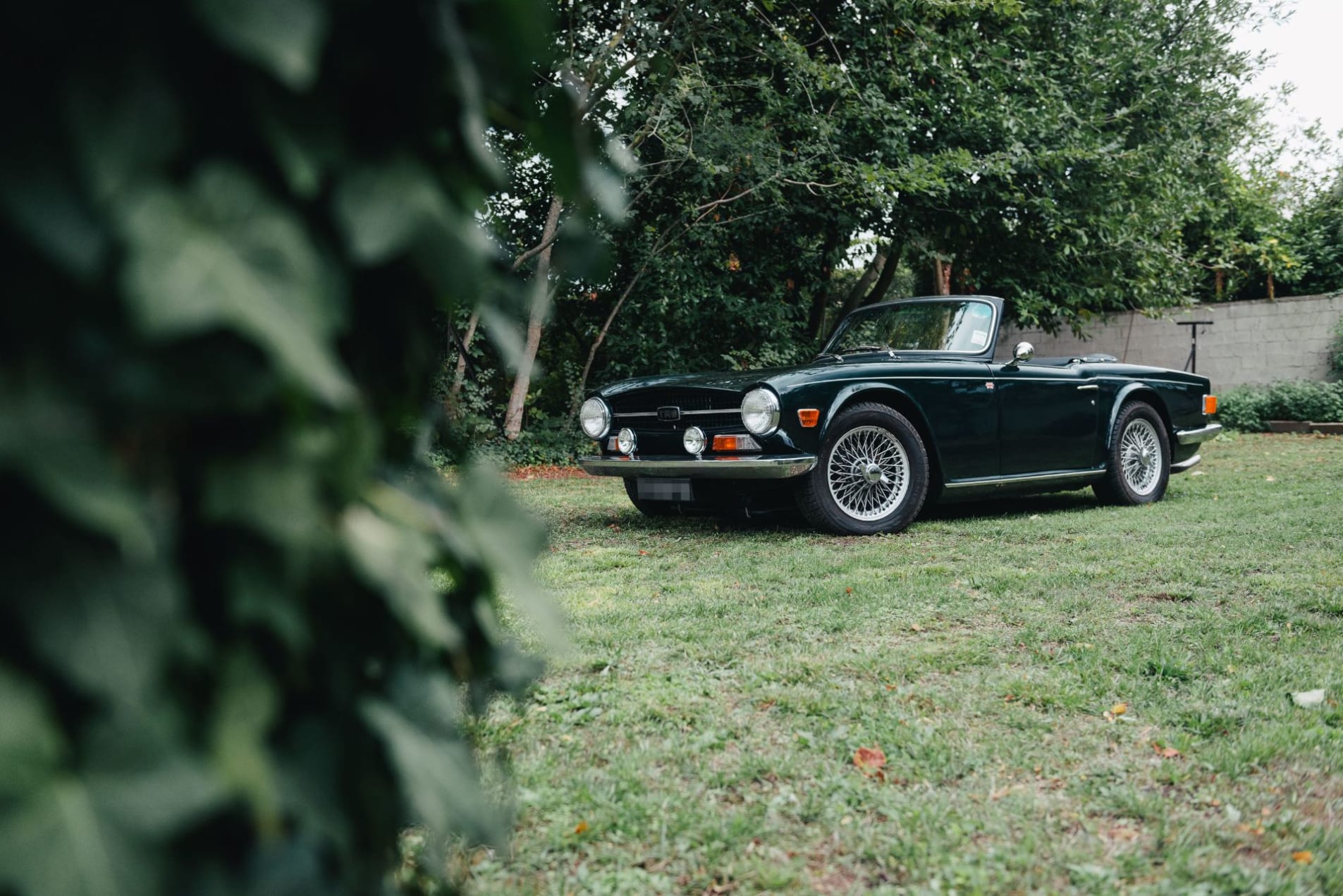 triumph tr6