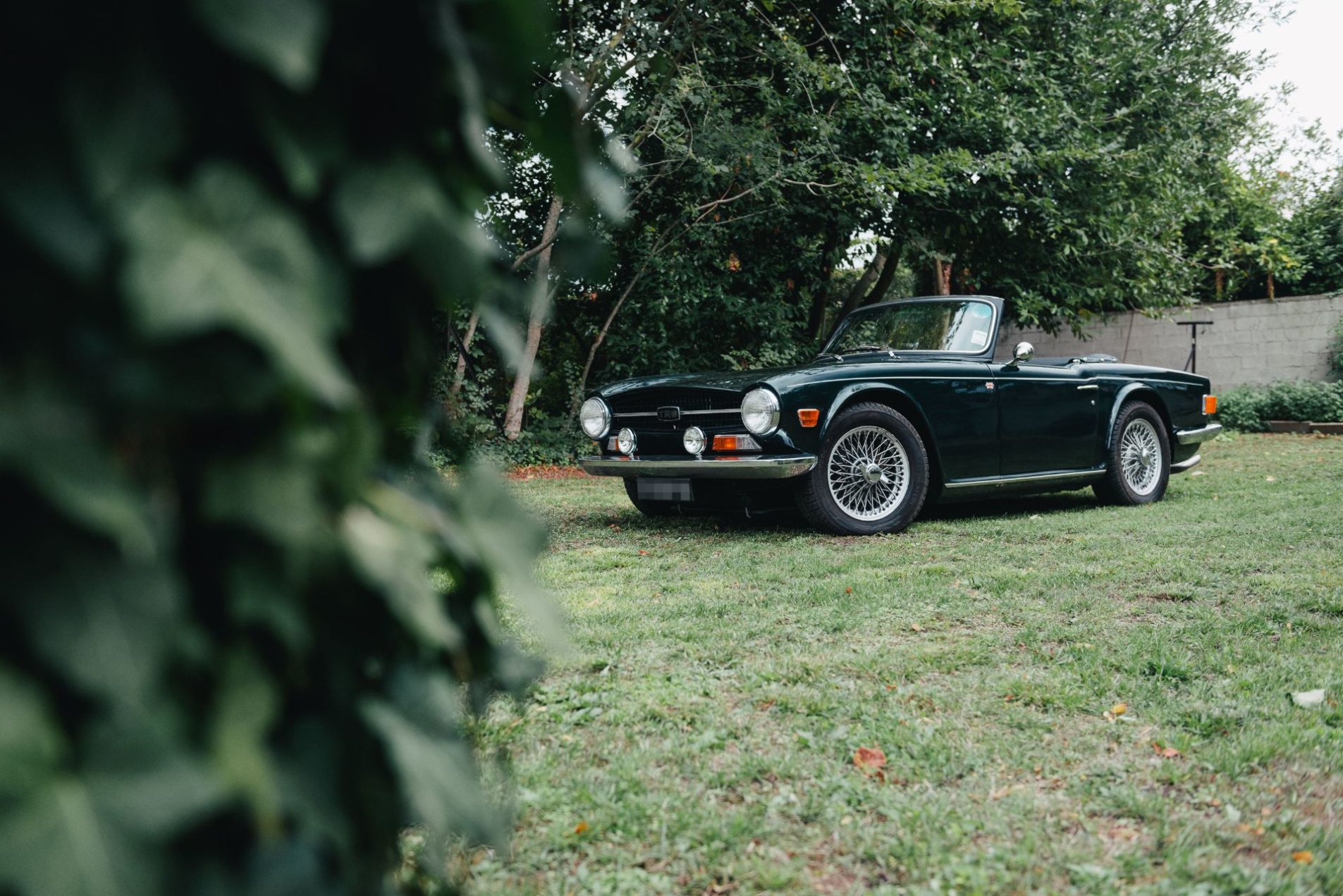 Photo TRIUMPH Tr6 1972