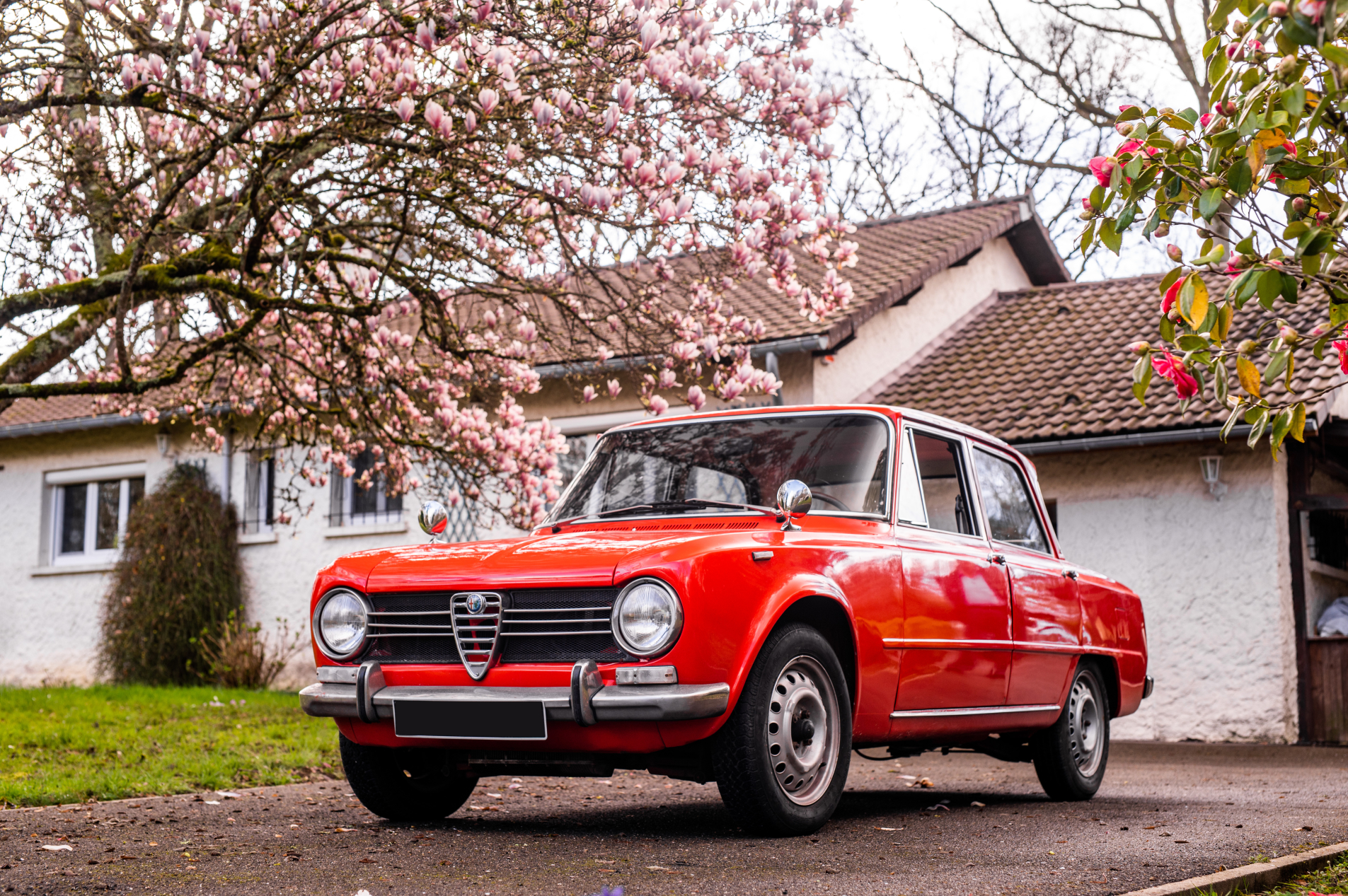 Photo ALFA ROMEO Giulia 1300 ti 1968