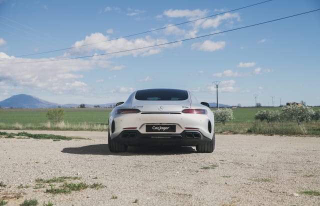 Mercedes-benz Amg Gt Gt C