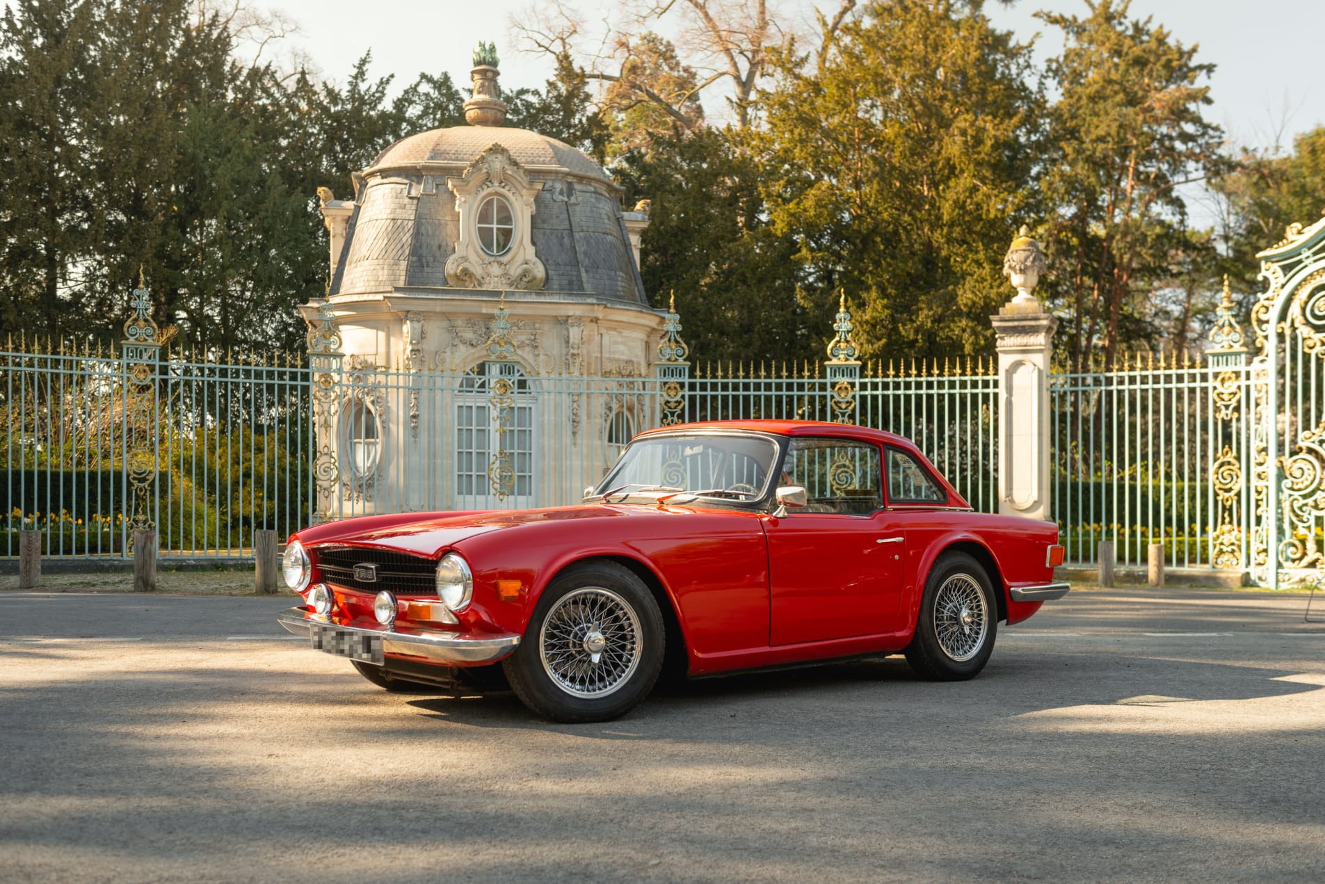 triumph tr 6 pi