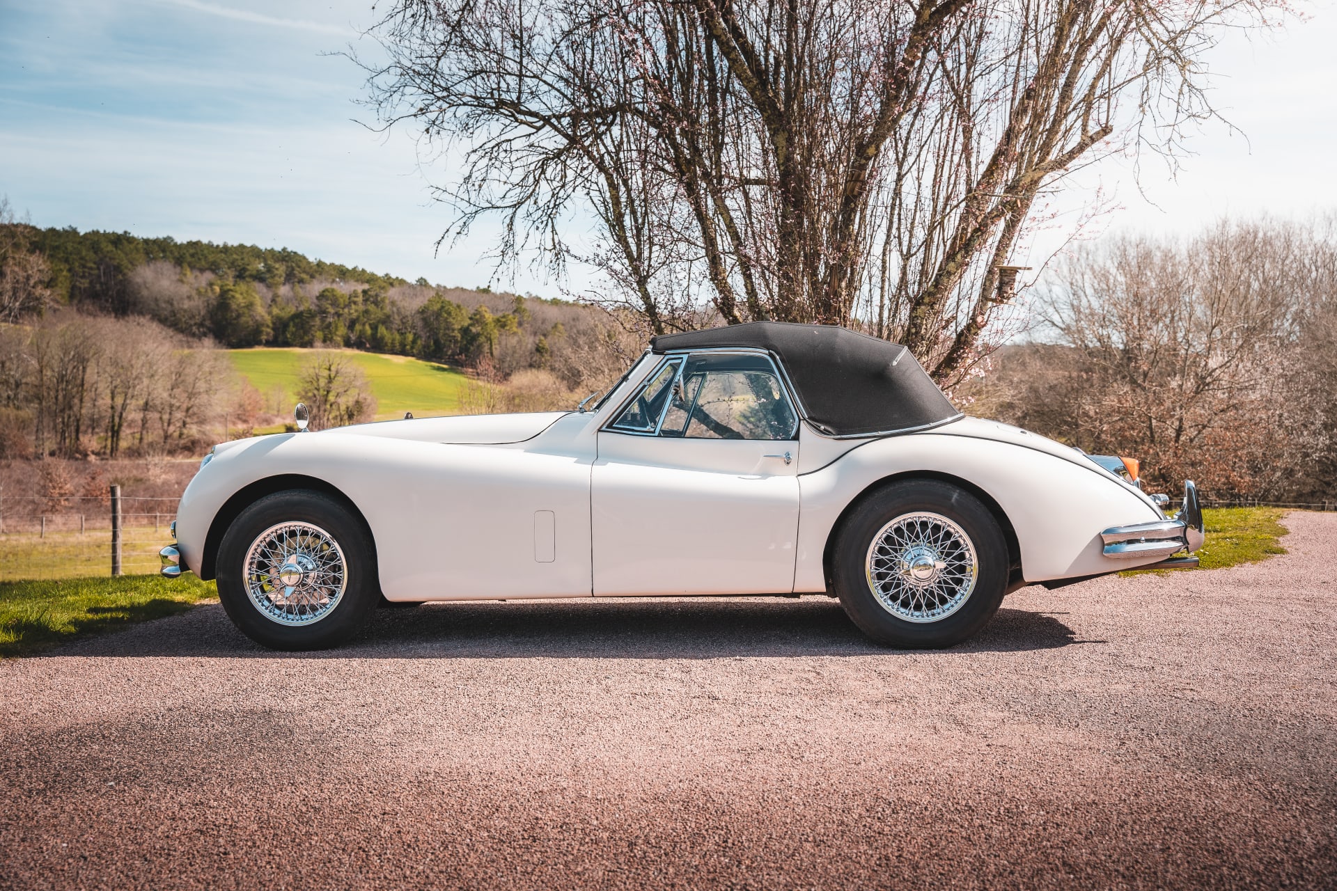 Jaguar Xk140 Dhc Se