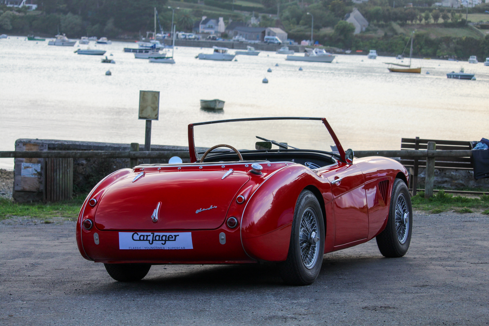 AUSTIN-HEALEY 100 100 6 1958